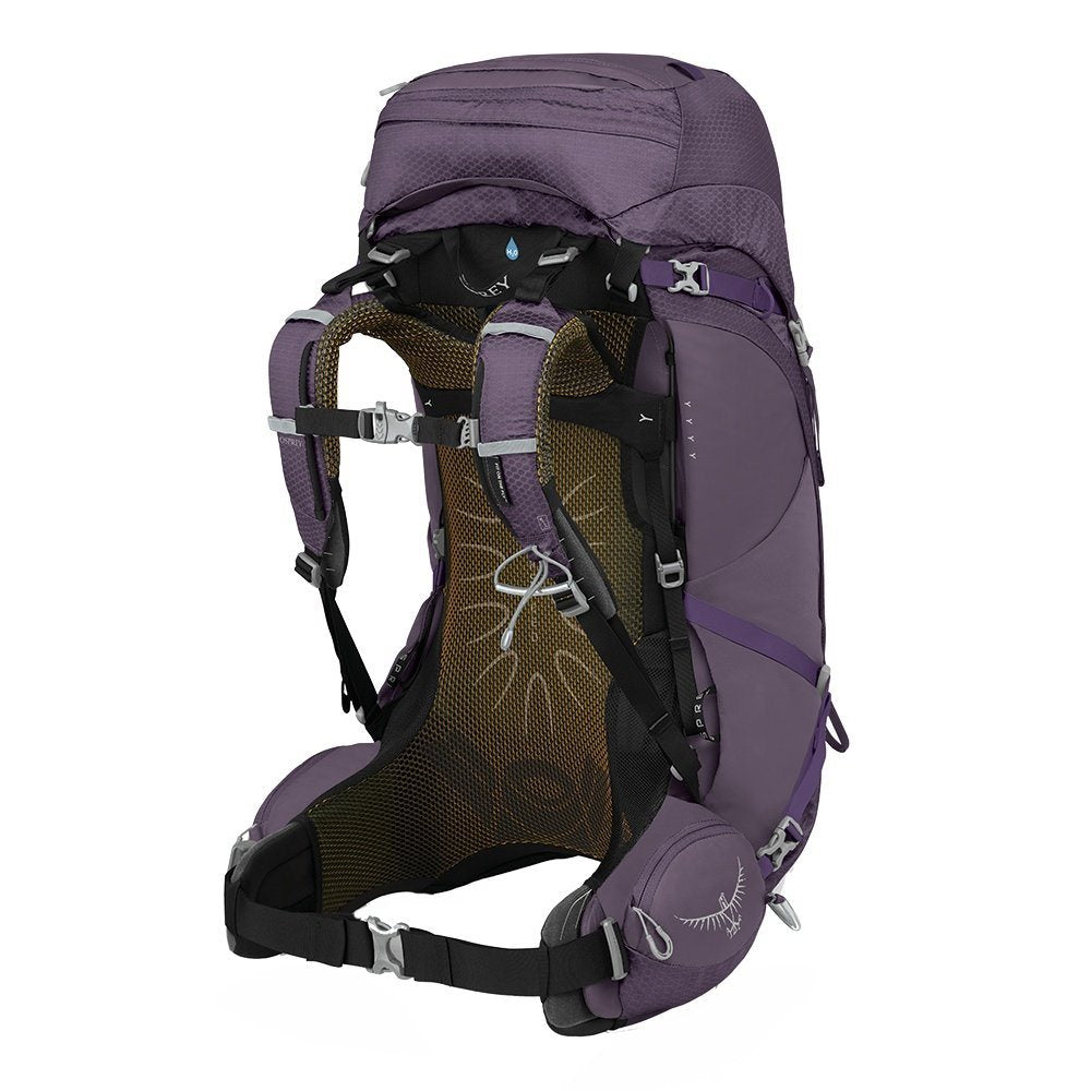 Osprey Aura Ag 50 Enchantment Purple W Backpack - Reisartikelen-nl