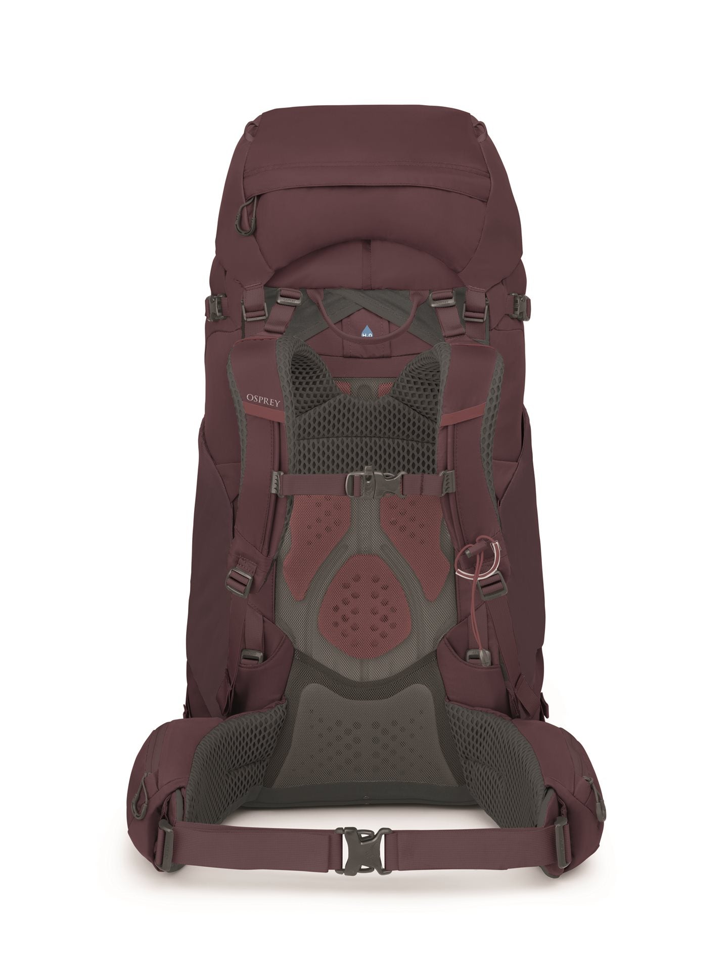 Osprey Kyte - 68L - M/L - Elderberry Purple Backpack - Reisartikelen-nl