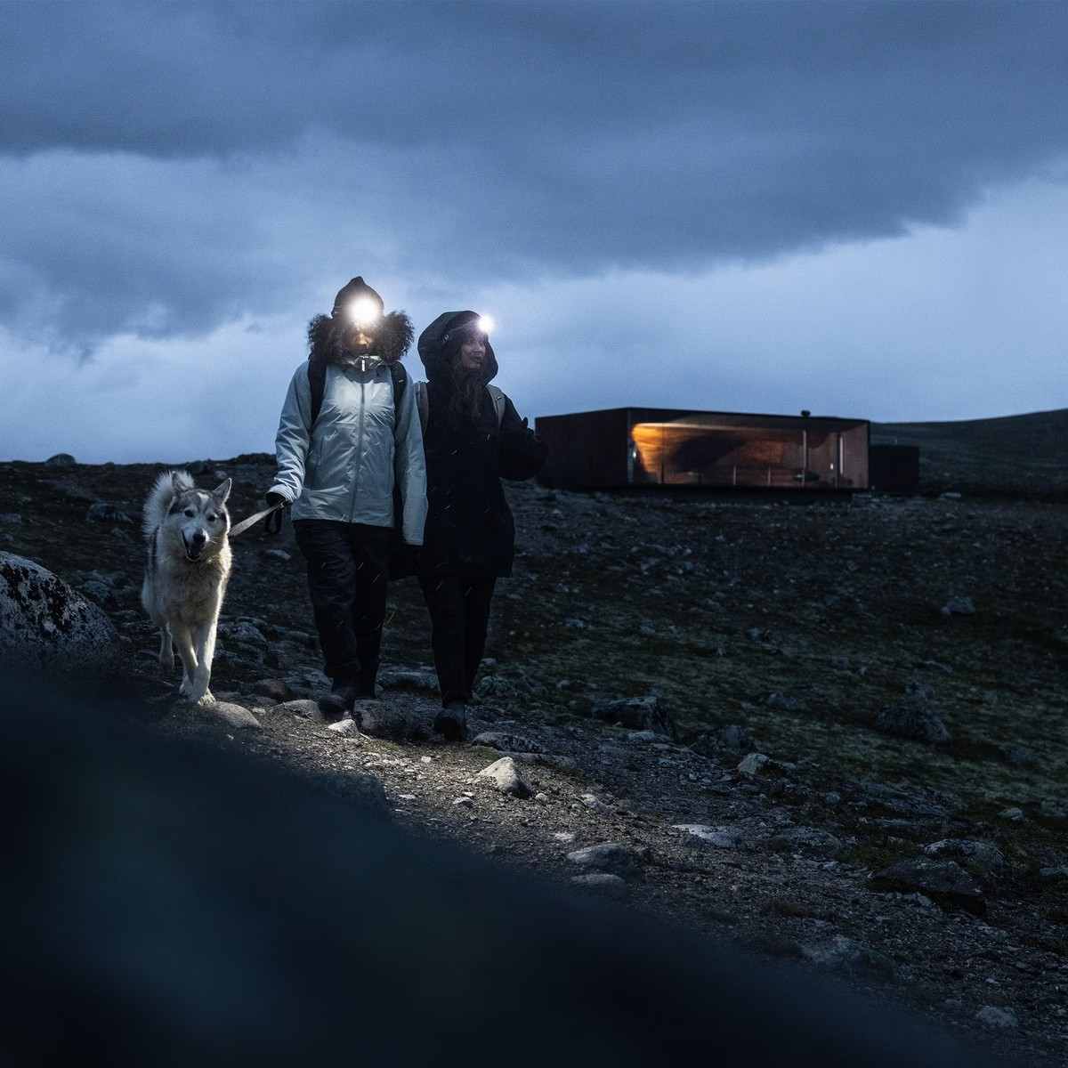 Thule AllTrail Hydration Rugzak - 16L - Black Wandelrugzak - Reisartikelen-nl